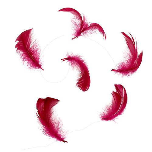 Floristik24 Fjeder på ledning Erika 10m