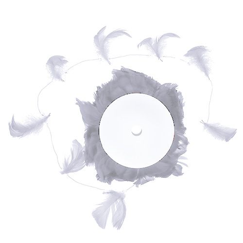 Floristik24 Fjeder på wire Hvid 10m