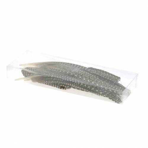 Floristik24 Naturlige fjer 18 - 24 cm 10g