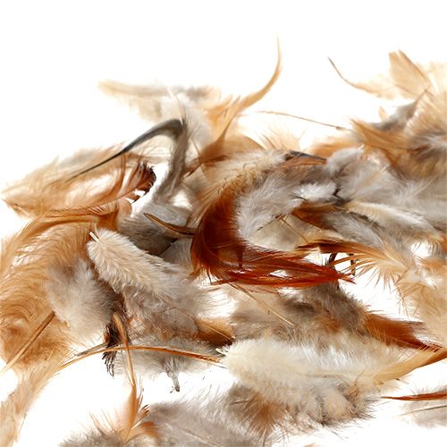 Floristik24 Fjer sortering. 5-15cm natur 228stk