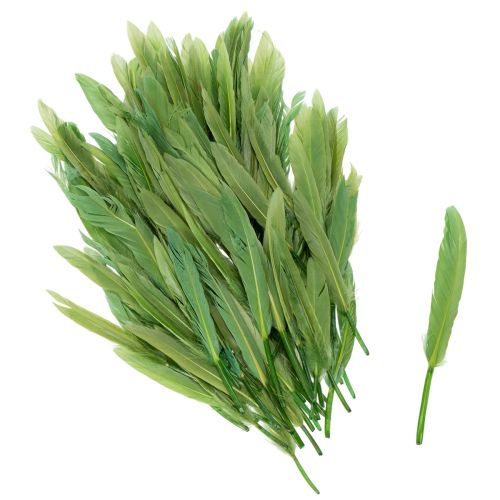 Dekorative fjer til en stilfuld atmosfære og imponerende dekorationer 10 cm