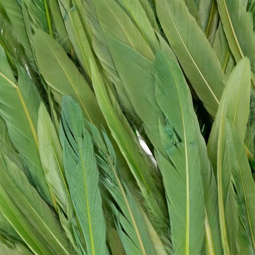 Artikel Dekorative fjer til en stilfuld atmosfære og imponerende dekorationer 10 cm