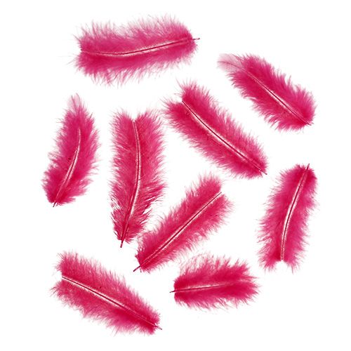 Floristik24 Fjer kort 30g fuchsia