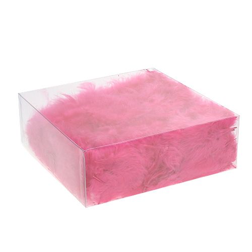 Floristik24 Fjer kort 30g fuchsia