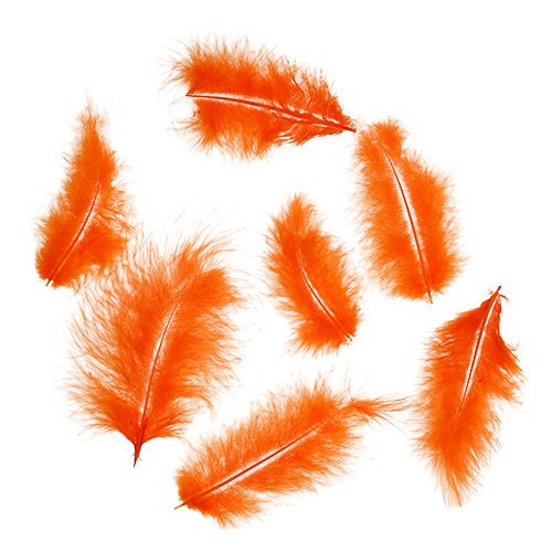 Artikel Fjer korte 30g Orange