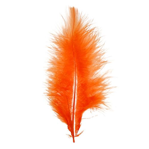 Artikel Fjer korte 30g Orange