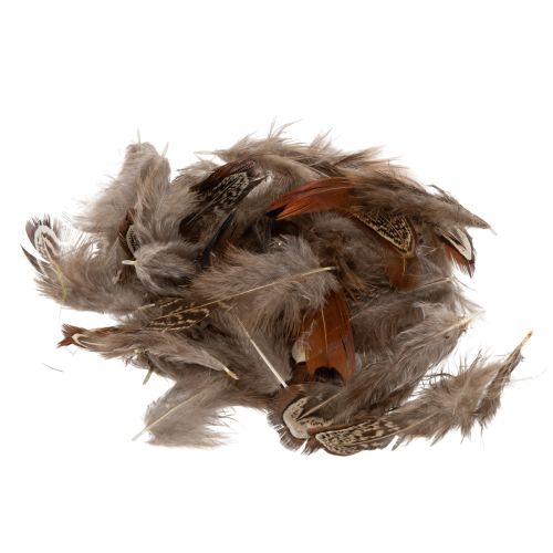Floristik24 Fjer til alsidige håndarbejdsidéer, kreative design- og dekorationsidéer, 5 cm, 3 g