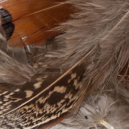 Artikel Fjer til alsidige håndarbejdsidéer, kreative design- og dekorationsidéer, 5 cm, 3 g