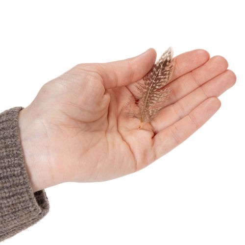 Artikel Fjer til alsidige håndarbejdsidéer, kreative design- og dekorationsidéer, 5 cm, 3 g