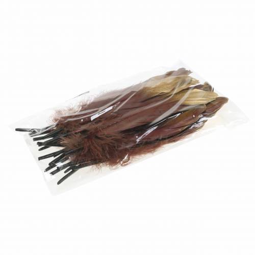 Floristik24 Fjer bordeaux, guld 18-23cm 24 stk
