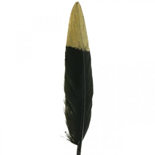 Artikel Dekorative fjer sorte, guld ægte fjer til kunsthåndværk 12-14cm 72stk
