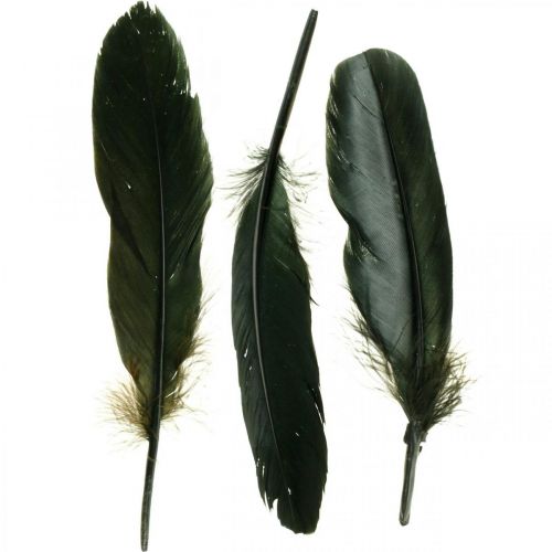 Deco fjer sorte fuglefjer til håndværk 14-17cm 20g