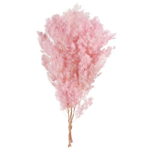 Artikel Fjer asparges Tør dekoration Asparges Pink 55-70cm 100g