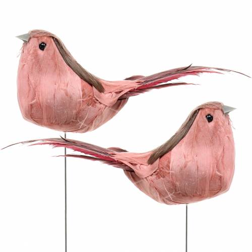 Floristik24 Fjerfugl på tråd pink 12cm 4stk