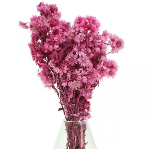 Mini Halmblomst Pink Tørret Blomst Klippeblomst H20cm 15g