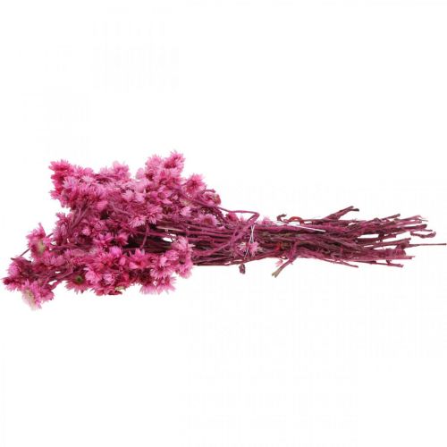 Artikel Mini Halmblomst Pink Tørret Blomst Klippeblomst H20cm 15g