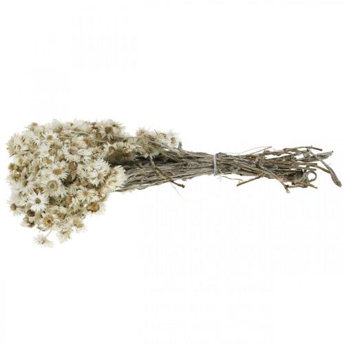 Floristik24 Mini Halmblomst Hvid Tørret Blomst Deco Klippeblomst H20cm 15g