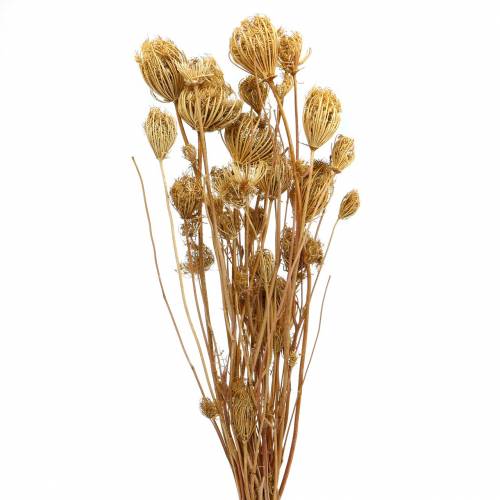 Artikel Tørrede blomster fennikel natur 100g