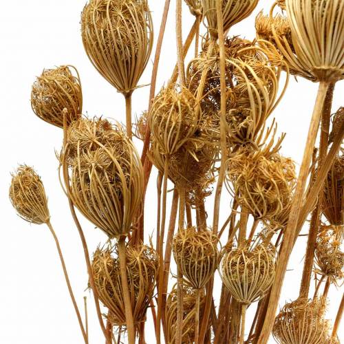 Artikel Tørrede blomster fennikel naturlig 100g