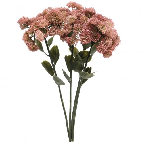 Floristik24 Stonecrop pink sedum stenurt kunstige blomster H48cm 4stk