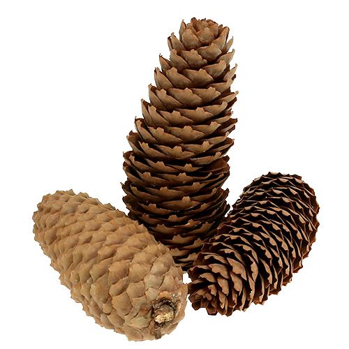 Artikel Grankogler naturlige 5kg kogler
