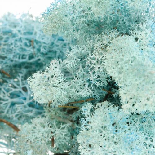 Artikel Dekoration mos lyseblå akvamarin rensdyr mos håndværksmos 400g