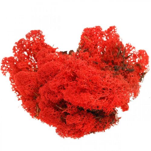 Deco mos rød rensdyrmos til brugskunst 400g