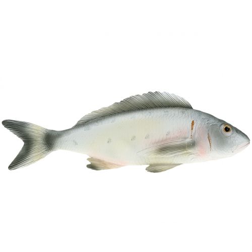 Floristik24 Dekorativ fisk aborre L27,5cm