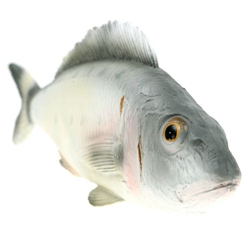 Floristik24 Dekorativ fisk aborre L27,5cm