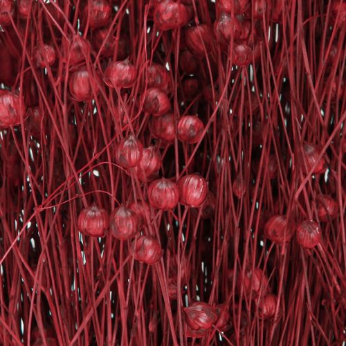 Floristik24 Hør Bordeaux Rød Tørrede Dekorationsblomster L55cm 80g