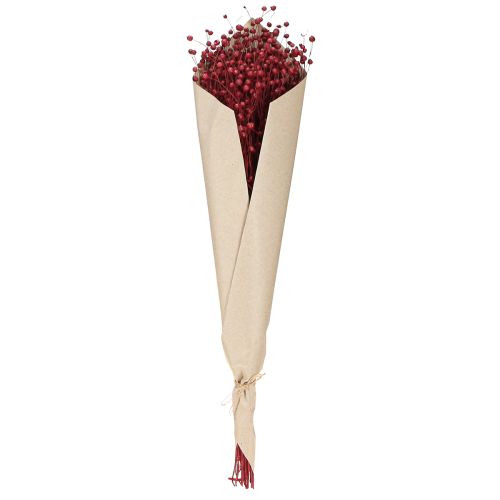 Artikel Hør Bordeaux Rød Tørrede Dekorationsblomster L55cm 80g