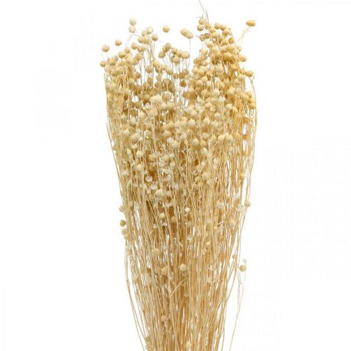 Floristik24 Bleget hør tørre blomster tørre græsser 52cm 160g