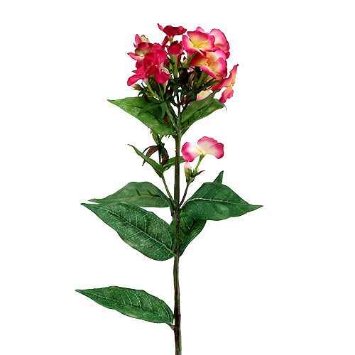 Floristik24 Lyserød flammeblomst 72cm