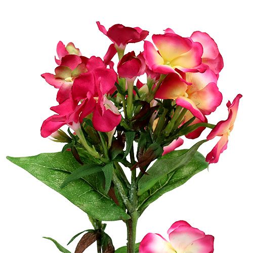 Floristik24 Lyserød flammeblomst 72cm