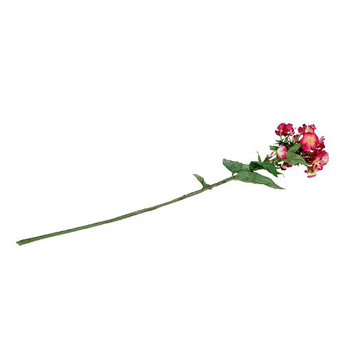 Floristik24 Lyserød flammeblomst 72cm