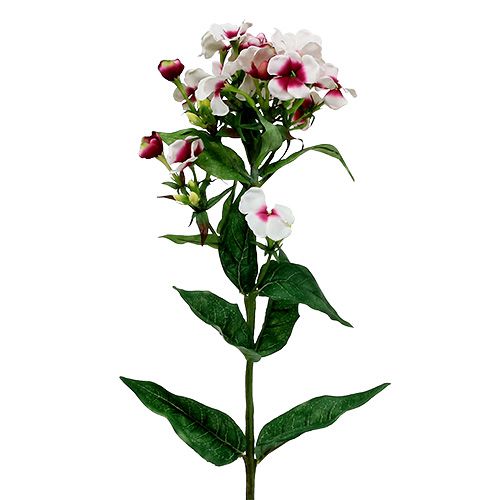 Flammeblomst hvid 72cm