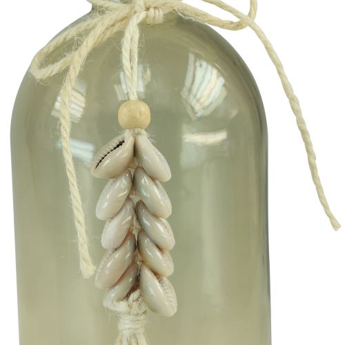 Artikel Flasker dekorativ glasvase cowrieskaller maritime H26cm 2stk