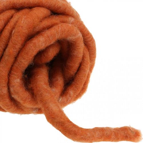 Floristik24 Filtsnor, uldsnor, filtsnor, fåreuld, jute, orange, L30m