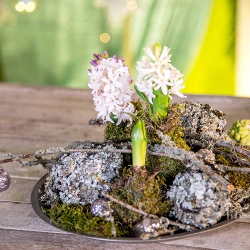 Floristik24 Lav naturlig dekoration med mosgrå 500g