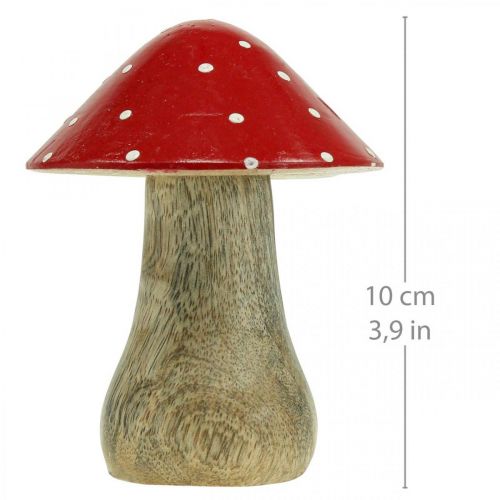 Floristik24 Fluesvamp deco træsvamp efterårsdekoration træ 10×8cm
