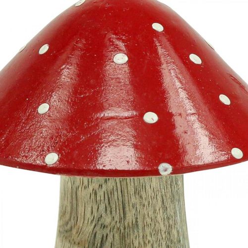 Floristik24 Fluesvamp deco træsvamp efterårsdekoration træ 10×8cm