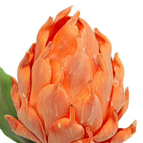 Skum artiskok orange 14cm L28cm 1p