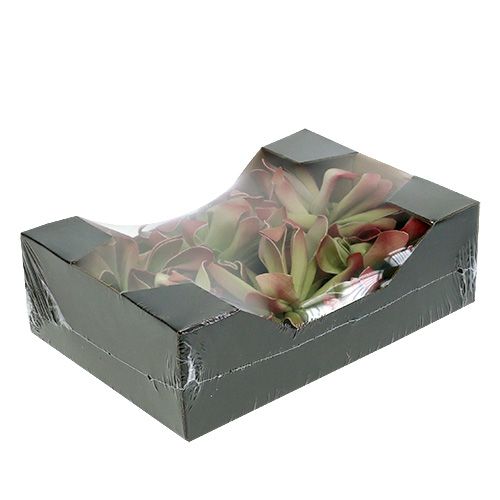 Floristik24 Skumblomst Ø12cm grøn / rød 6stk