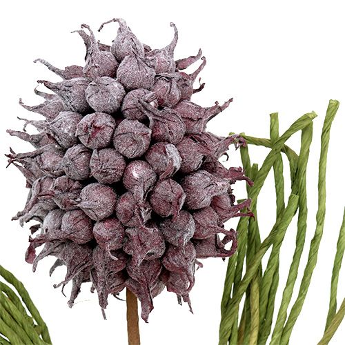 Floristik24 Skum blomstrer kunstige blomster lilla L65cm