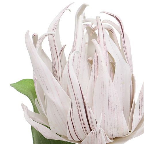 Floristik24 Skumblomstring hvid, lilla 12cm L30cm 1p