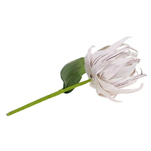 Floristik24 Skumblomstring hvid, lilla 12cm L30cm 1p
