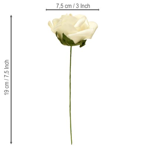 Artikel Skumroser med stilkblomster skumcreme Ø7,5cm 18 stk