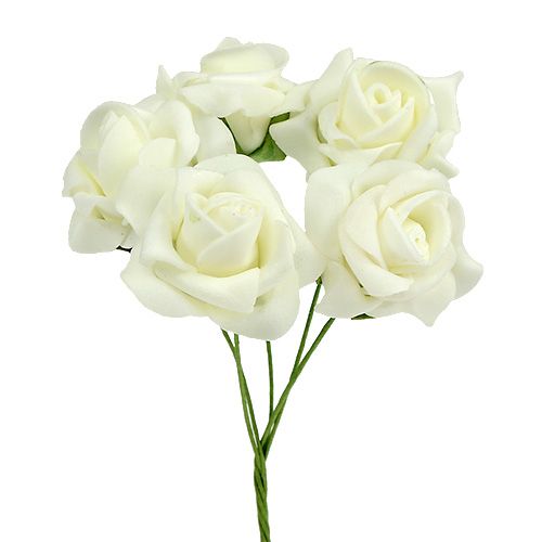 Floristik24 Skumrose Ø4,5cm Creme 36 stk