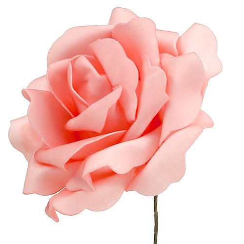 Floristik24 Skum Rose Skum Rose Laks Ø15cm 4 stk