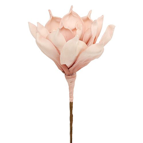 Floristik24 Skumblomst magnolia lyserød Ø15cm L65cm